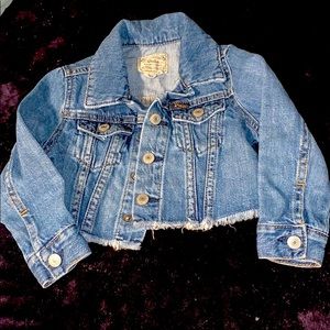 Polo Jean Jacket